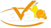 logo-ava-white-1